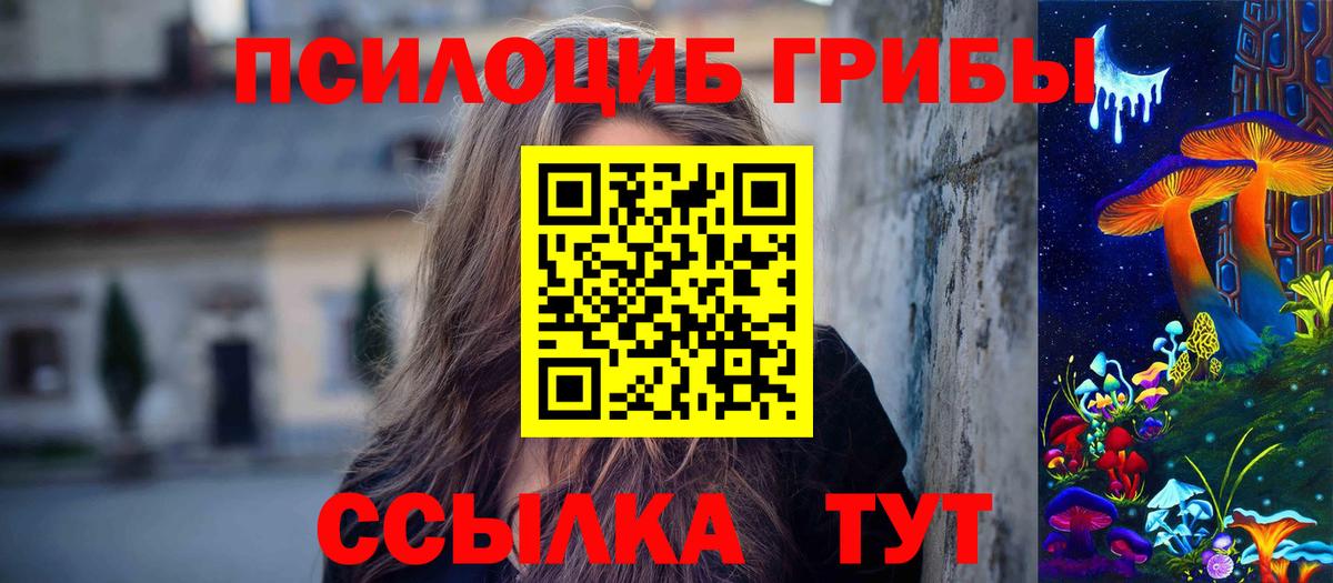 Псилоцибиновые грибы мицелий  Вход с VPN  купить наркотики цена  Волгоград 