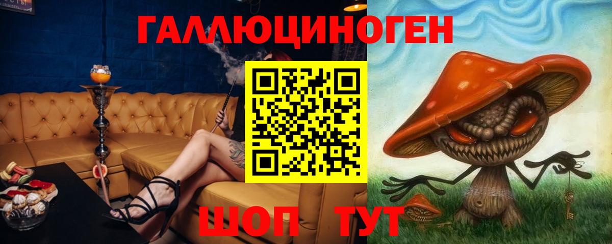 Галлюциногенные грибы Psilocybine cubensis Волгоград